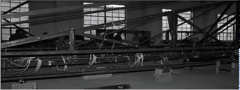 6.gif